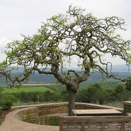 Fattoria Nuova Pievanella *